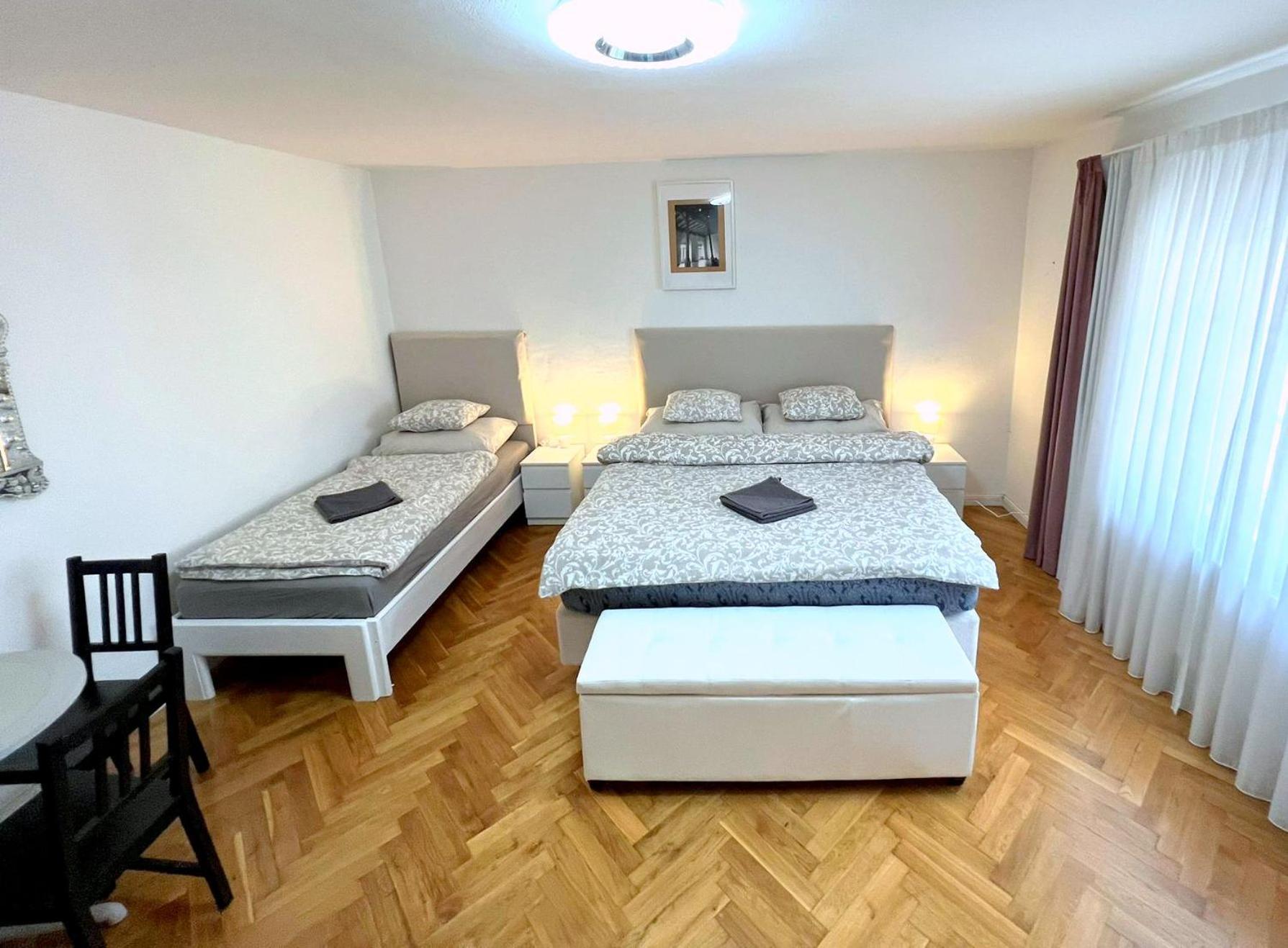 At The Blue Lion & Parking Assistance * Praag